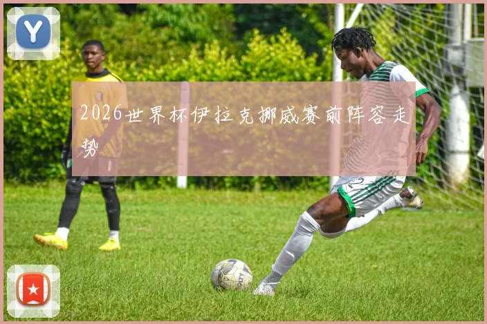 2026世界杯伊拉克挪威赛前阵容走势