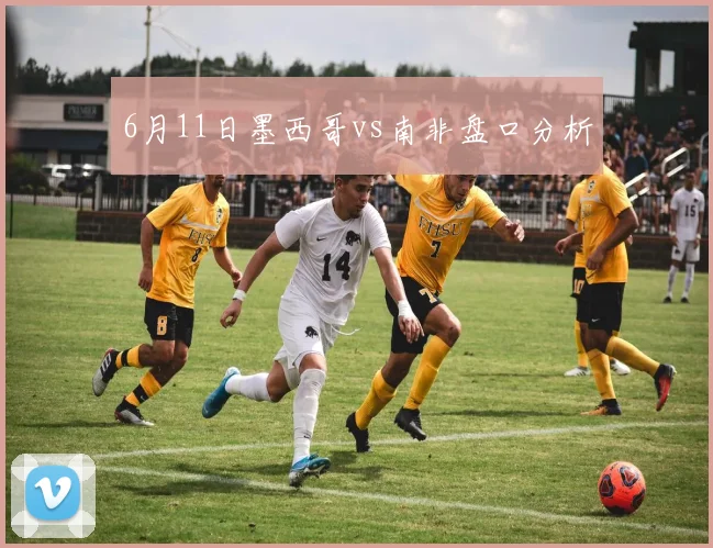6月11日墨西哥vs南非盘口分析