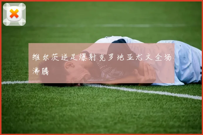 维尔茨逆足爆射克罗地亚尤文全场沸腾